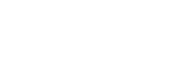 The logo of SilverDrive personal drivers Amsterdam