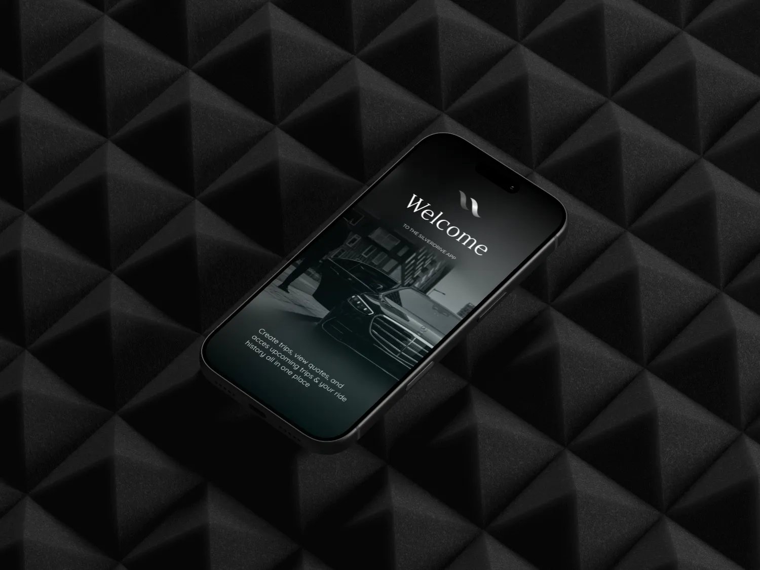 The SilverDrive app on an iPhone